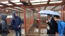 2019.03.14 - Pomoc dla bezdomnych zwierząt