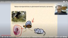 2021.03.25 - Lekcja biologii